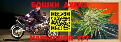 шишки Новокубанск