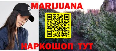 шишки Новокубанск
