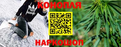 шишки Новокубанск