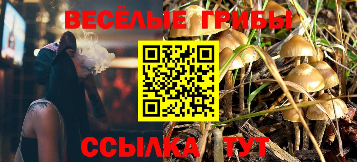 Галлюциногенные грибы ЛСД Томск
