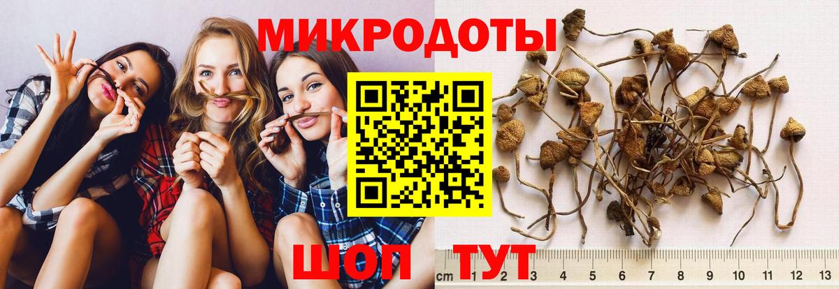 Псилоцибиновые грибы GOLDEN TEACHER  где купить наркоту  Томск  Вход с VPN 